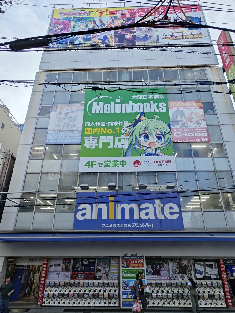 Image 8